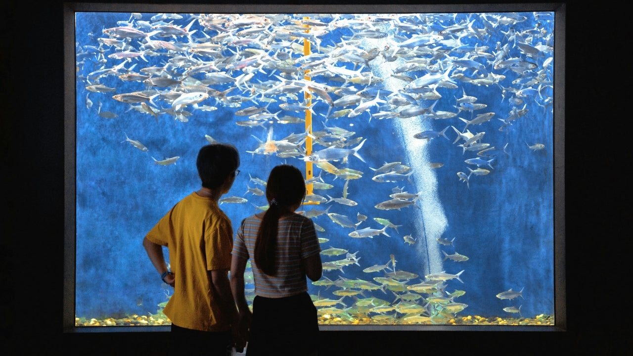 From the Male Perspective: What Men need in Dating and a Relationship